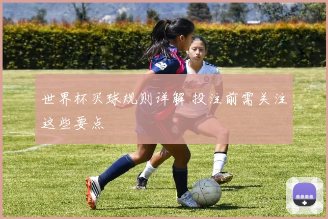世界杯买球规则详解 投注前需关注这些要点