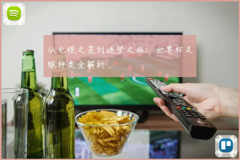 从电视之星到逐梦之旅：世界杯足球种类全解析