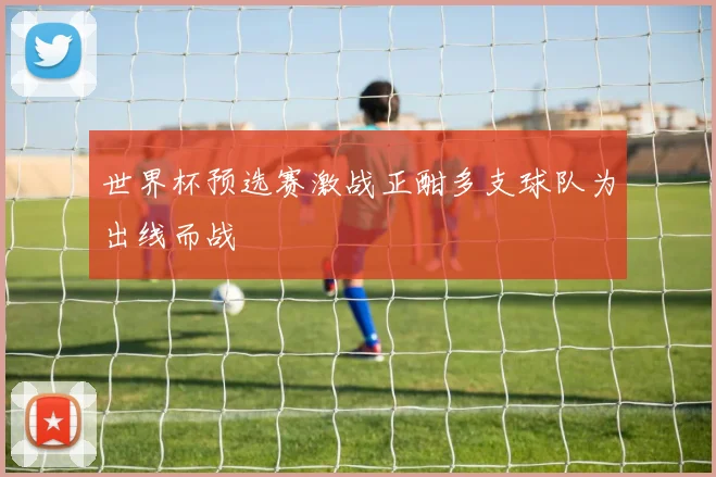 世界杯预选赛激战正酣多支球队为出线而战