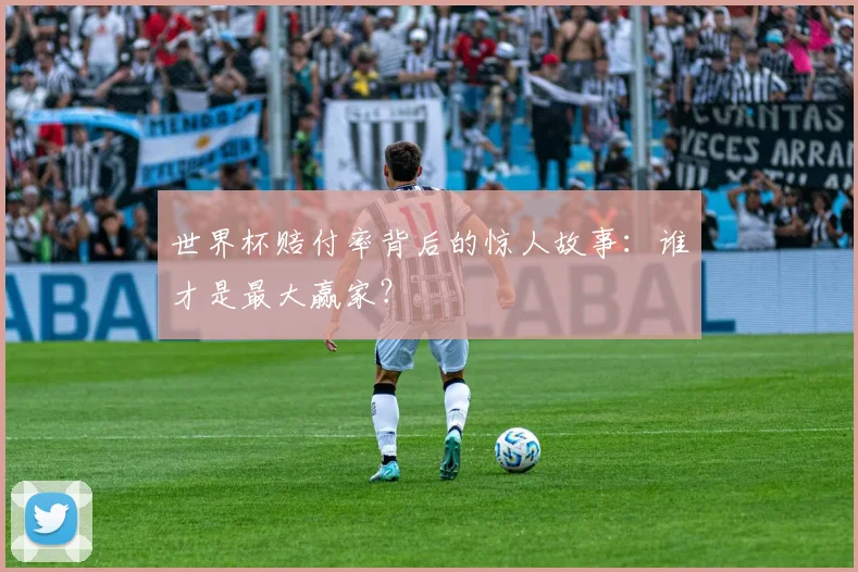 世界杯赔付率背后的惊人故事:谁才是最大赢家?