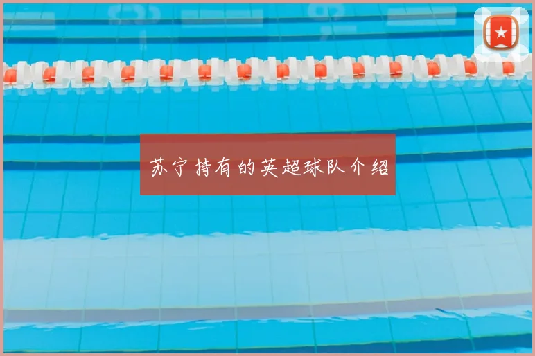 苏宁持有的英超球队介绍
