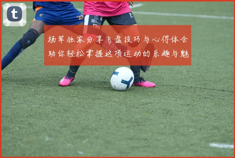 杨军独家分享飞盘技巧与心得体会助你轻松掌握这项运动的乐趣与魅力