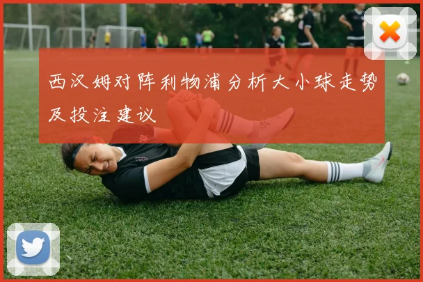 西汉姆对阵利物浦分析大小球走势及投注建议