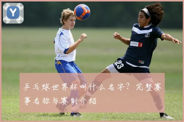 乒乓球世界杯叫什么名字？完整赛事名称与赛制介绍