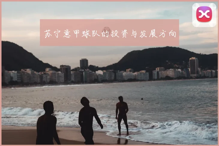 苏宁意甲球队的投资与发展方向