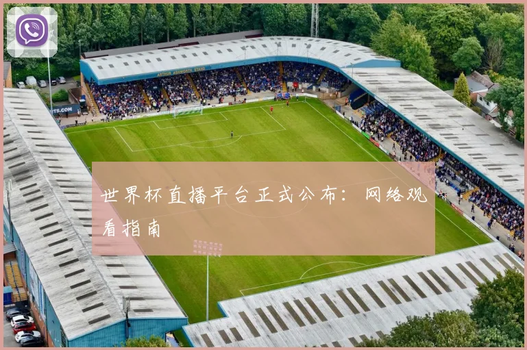 世界杯直播平台正式公布：网络观看指南