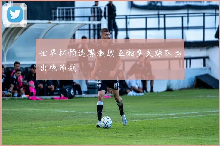 世界杯预选赛激战正酣多支球队为出线而战
