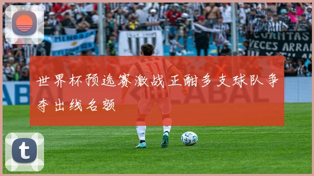 世界杯预选赛激战正酣多支球队争夺出线名额