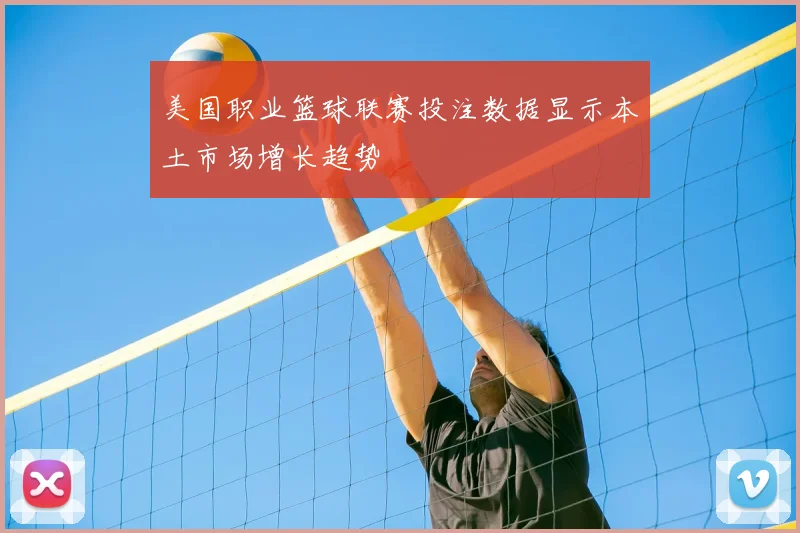 美国职业篮球联赛投注数据显示本土市场增长趋势