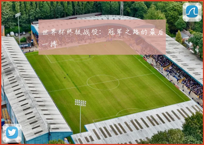 世界杯终极战役：冠军之路的最后一搏