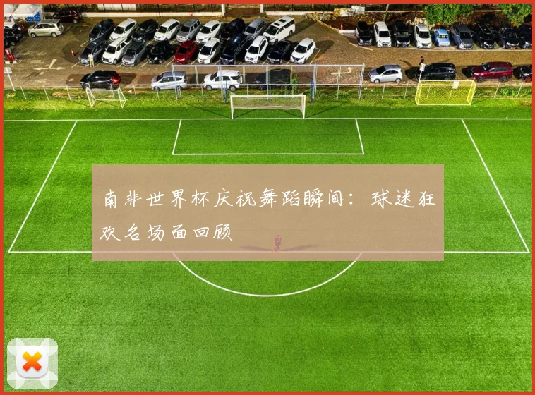 南非世界杯庆祝舞蹈瞬间：球迷狂欢名场面回顾