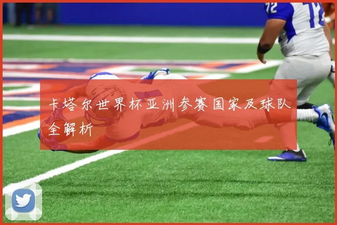 卡塔尔世界杯亚洲参赛国家及球队全解析