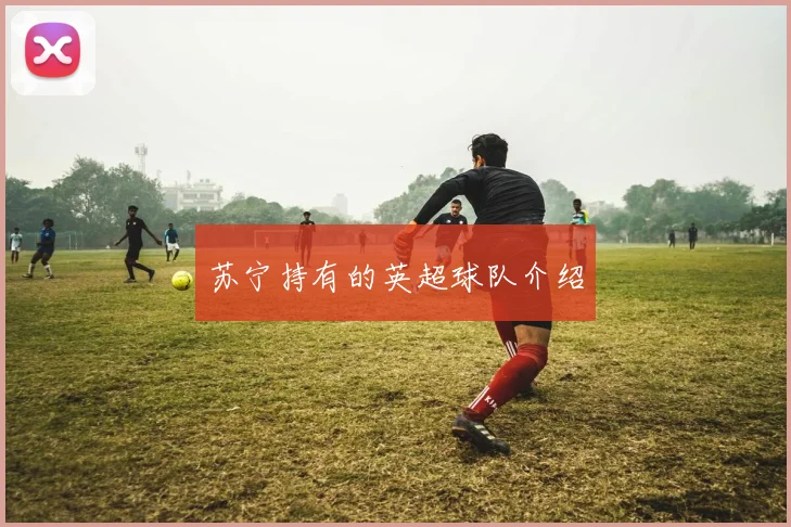 苏宁持有的英超球队介绍