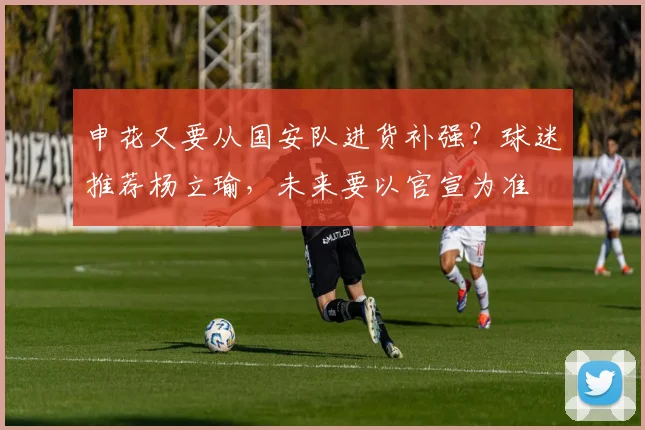 申花又要从国安队进货补强？球迷推荐杨立瑜，未来要以官宣为准