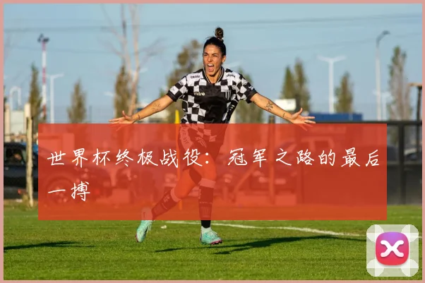 世界杯终极战役：冠军之路的最后一搏
