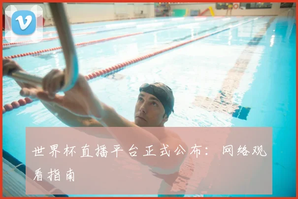 世界杯直播平台正式公布：网络观看指南