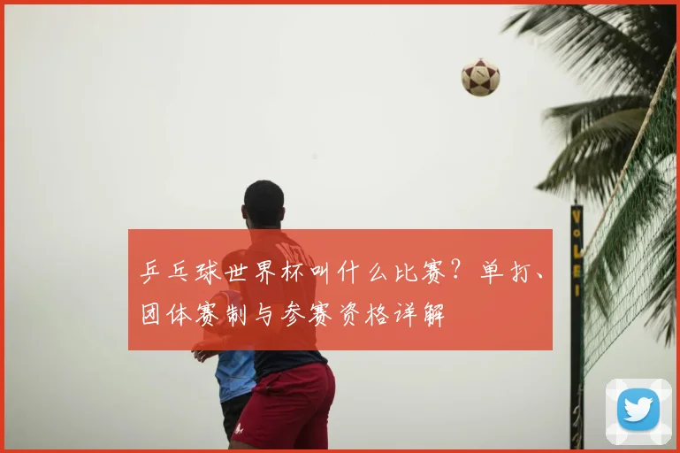 乒乓球世界杯叫什么比赛?单打、团体赛制与参赛资格详解